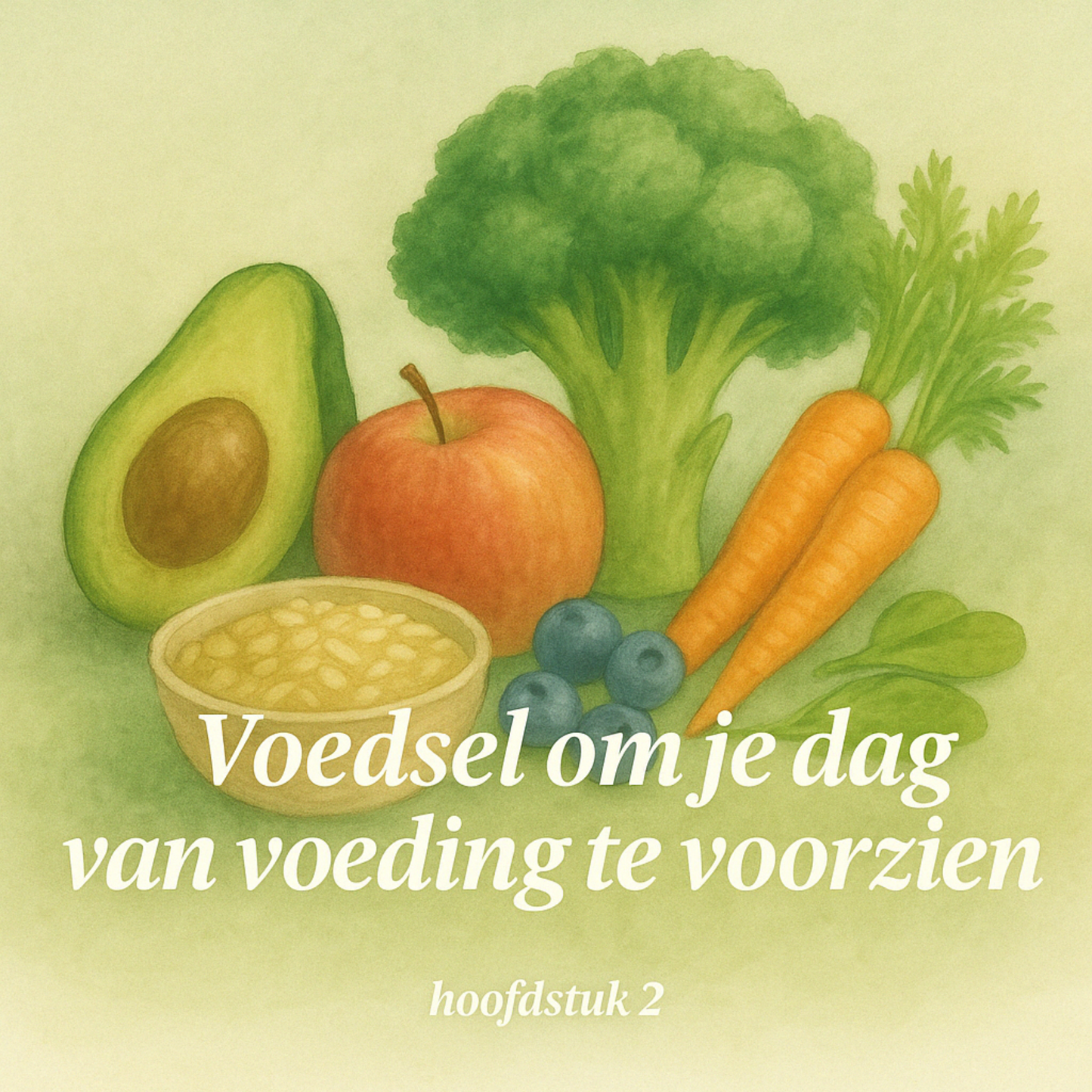 Een Leven Vol Energie - Bundel + Gratis Werkboek
