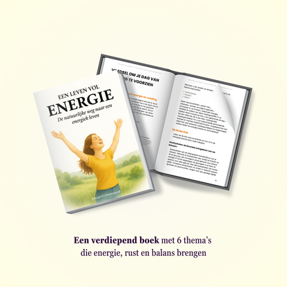 Een Leven Vol Energie - Bundel + Gratis Werkboek